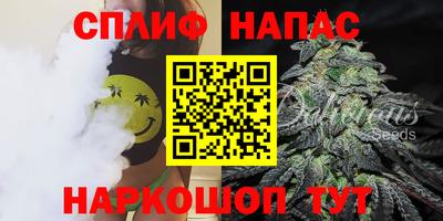 гидра Гай