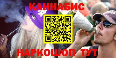 гидра Гай
