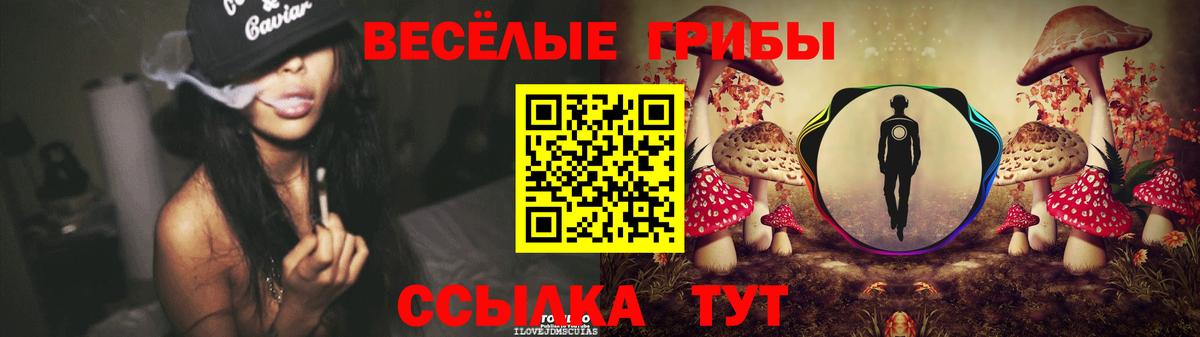 Псилоцибиновые грибы прущие грибы  Вход с VPN  Сатка 