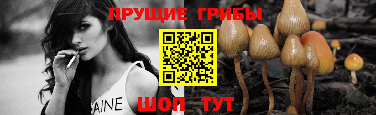 Псилоцибиновые грибы Psilocybine cubensis Сатка